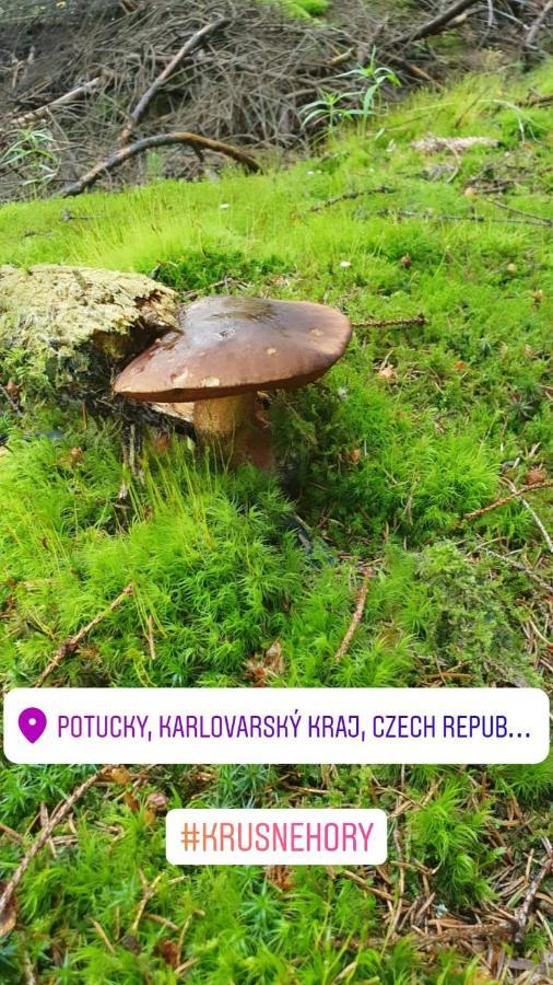 Apartmany Stran Potucky Luaran gambar